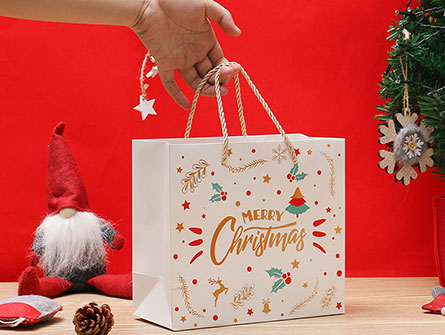 Paper Gift Bags With Logo